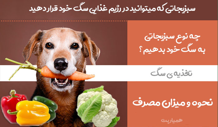 سبزیجات قابل مصرف سگ ها
