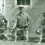تاریخچه سگ beagle