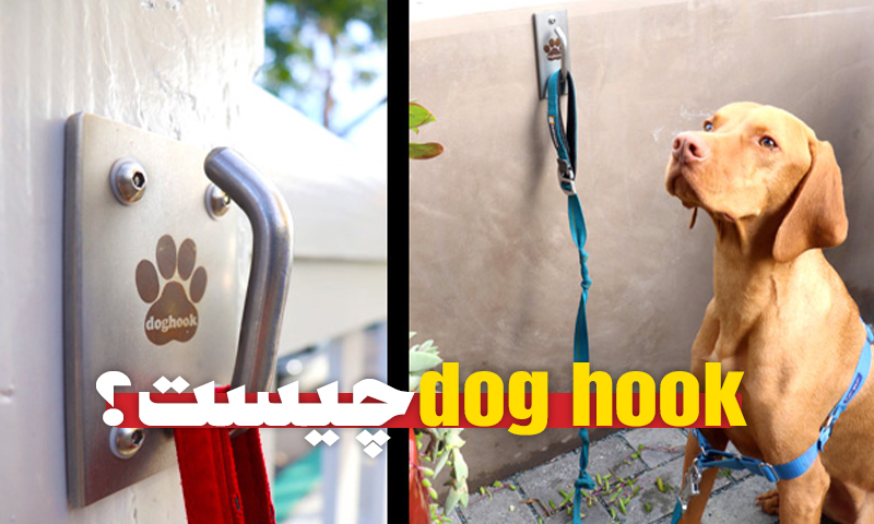 قلاب نگهدارنده سگ یا dog hook چیست؟