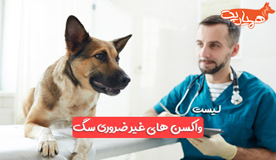 واکسن های غیرضروری و اختیاری سگ ها + جدول واکسیناسیون سگ