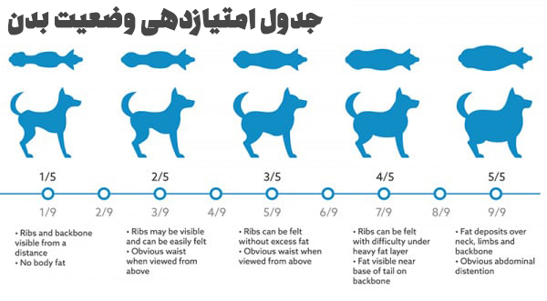 وجود بافت چربی عامل اصلی چاقی در سگ ها