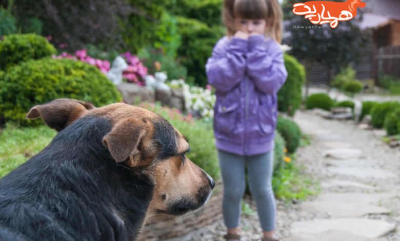 درباره ترس از سگ یا سینوفوبیا چه میدانید؟