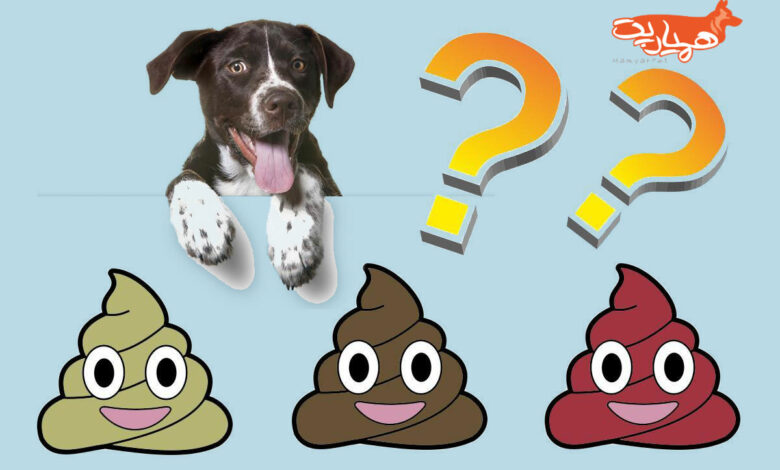هر رنگ مدفوع سگ نشانه چیست؟