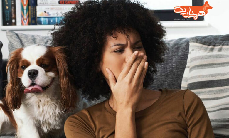 علت بوی بد دهان سگ و درمان آن