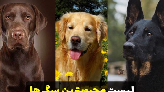Full-Ranking-List–Most-Popular-Dog-Breeds