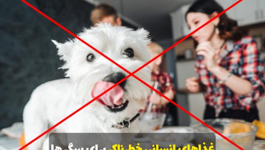 غذاهای انسانی خطرناک برای سگها