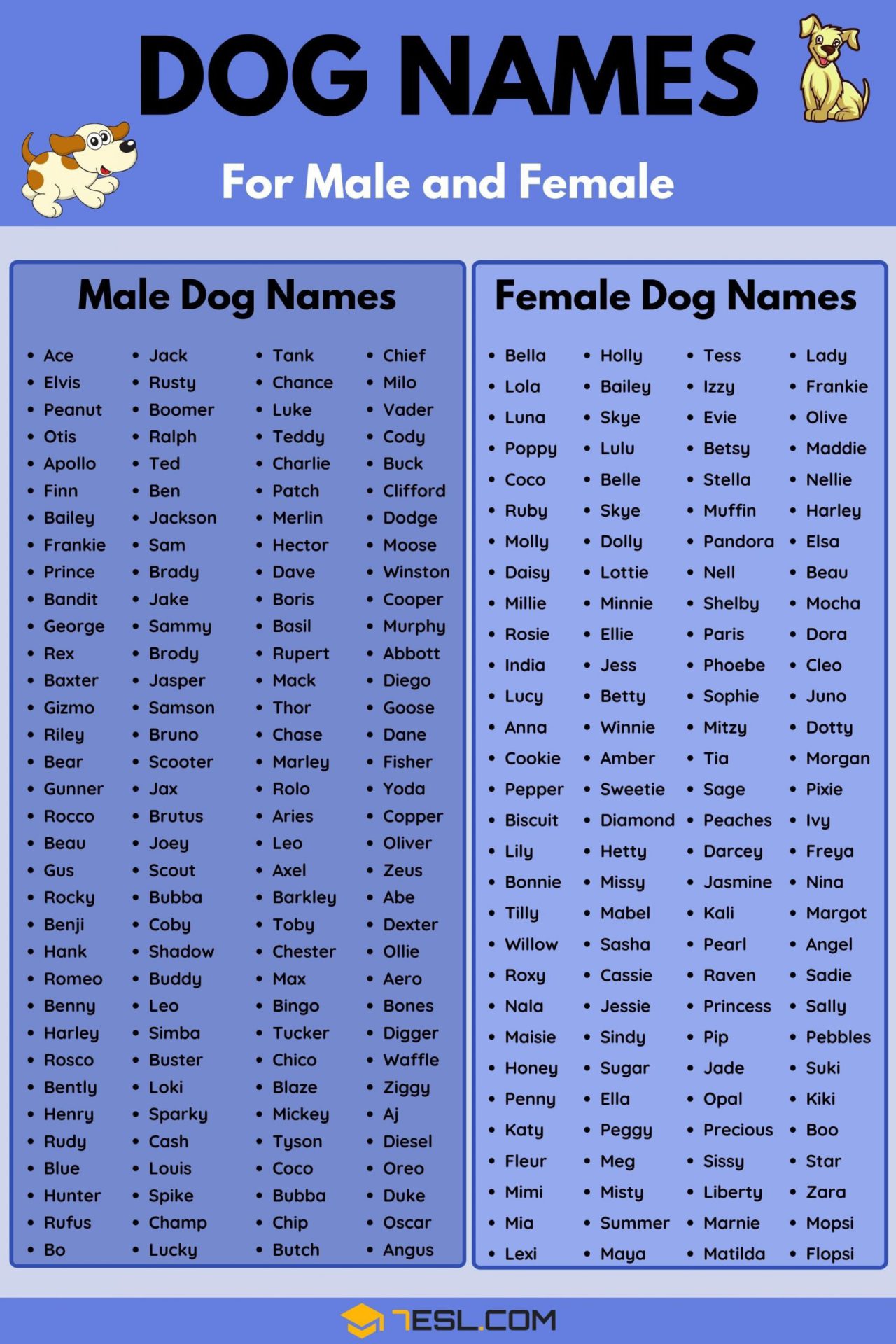 انتخاب اسم سگ