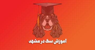 آموزش سگ در مشهد