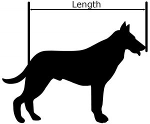 طول یک سگ