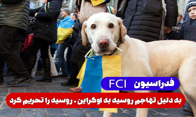 FCI مسابقات جهانی 2022 سگ هایAgility را از روسیه خارج کرد