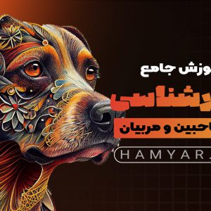 آموزش رفتارشناسی سگ