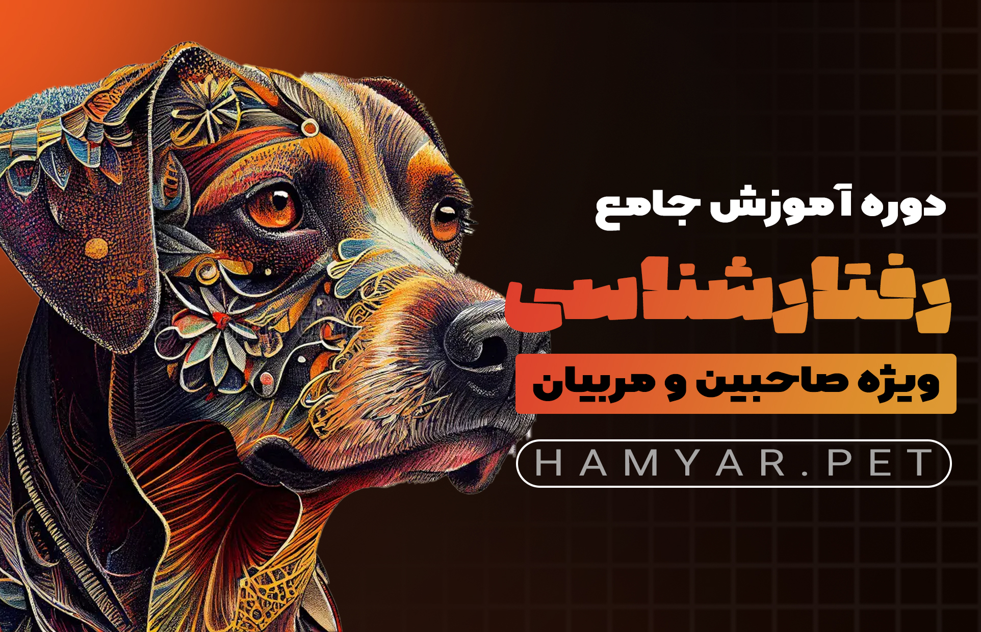 آموزش رفتارشناسی سگ