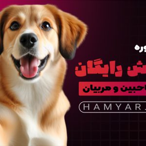 آموزش سگ رایگان