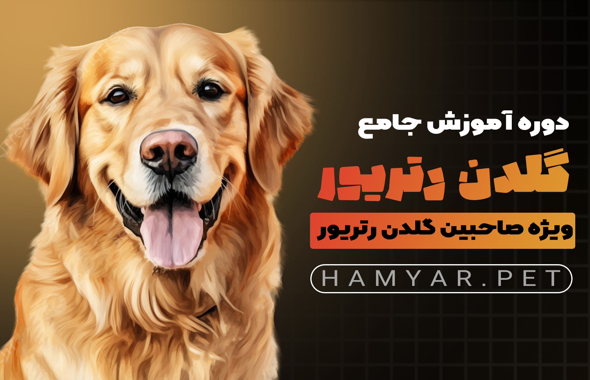 آموزش گلدن رتریور