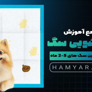دوره آموزش دستشویی سگ