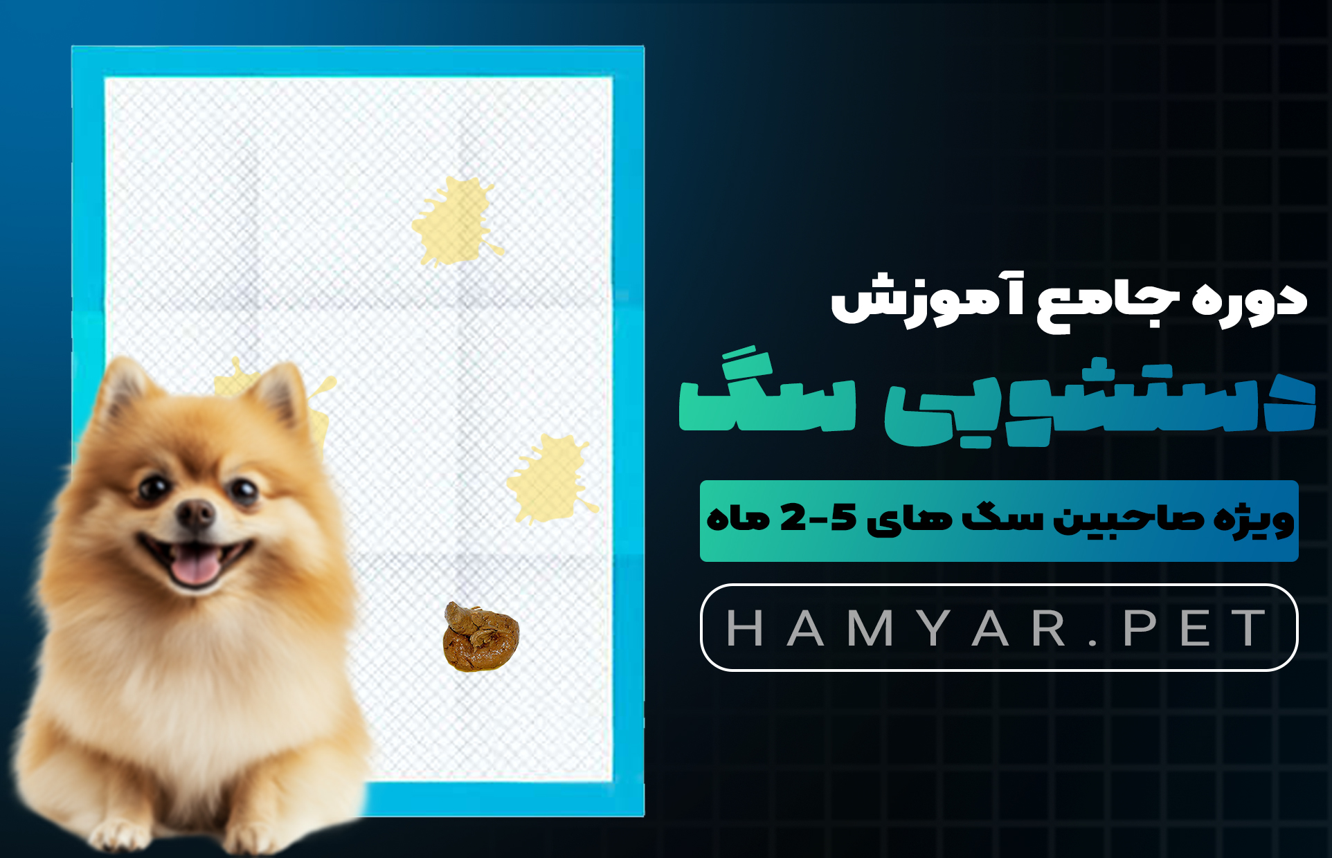 دوره آموزش دستشویی سگ