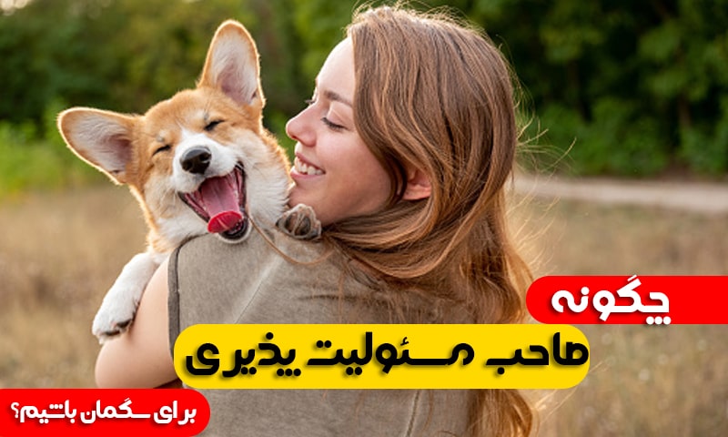 چگونه صاحب مسئولیت پذیری برای سگ خود باشیم؟