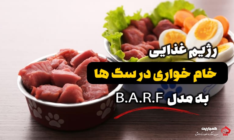 رژیم غذایی خام خواری