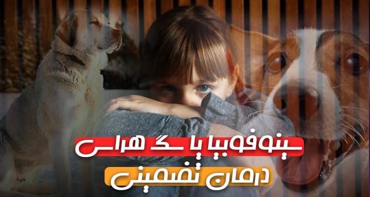 سینوفوبیا یا سگ هراسی