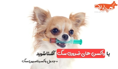 واکسن های ضروری سگ