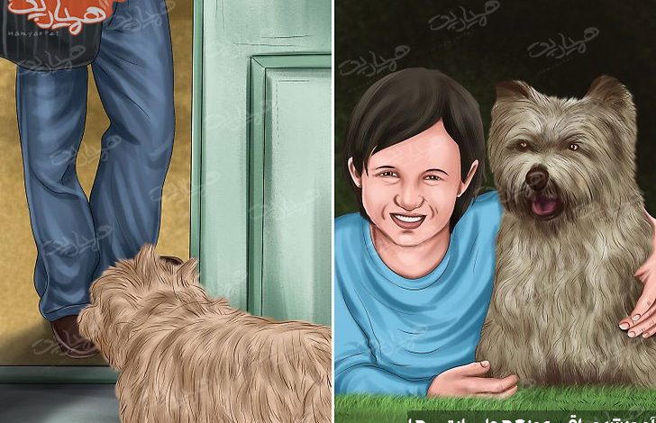 مراقبت از تریر ها