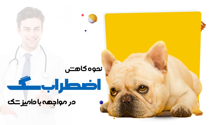 کاهش اضطراب سگ در مواجهه با دامپزشک