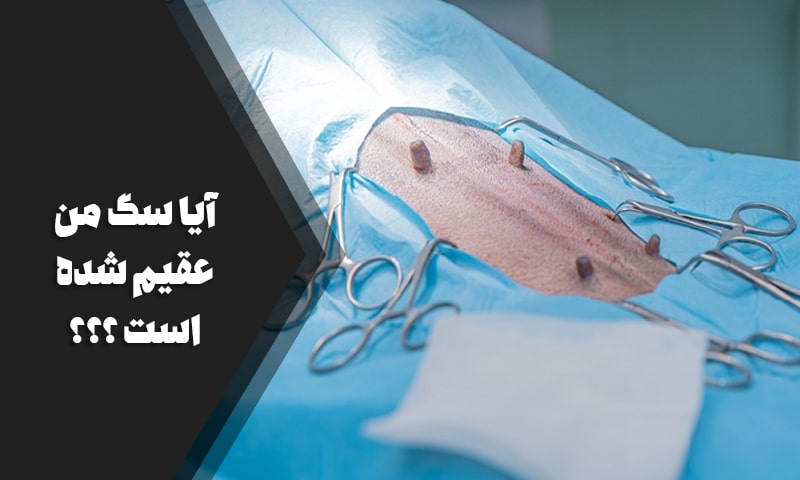 از کجا بفهمیم سگ عقیم شده است؟