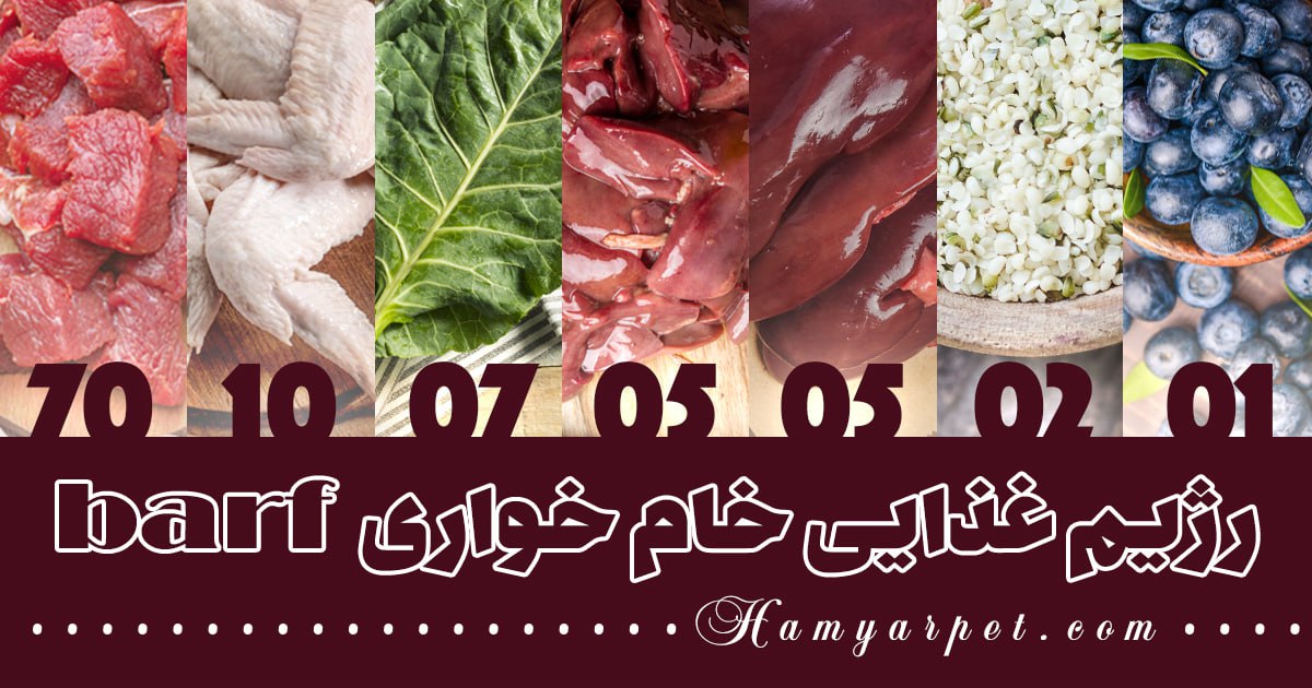 رژیم غذایی خام خواری سگ barf