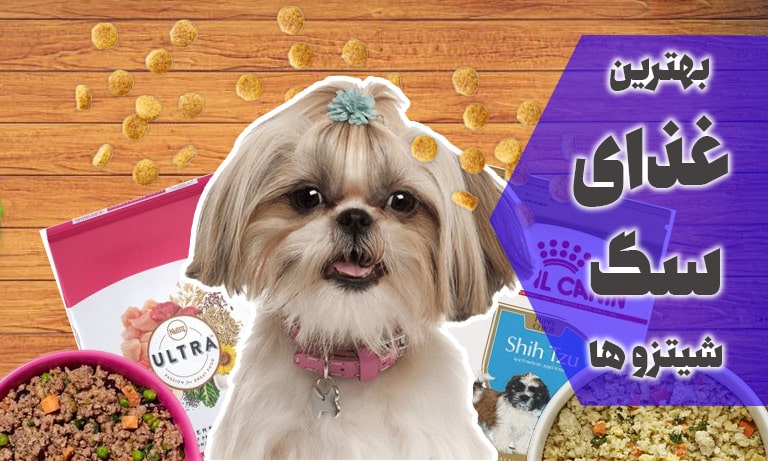 بهترین غذای سگ برای نژاد شیتزو