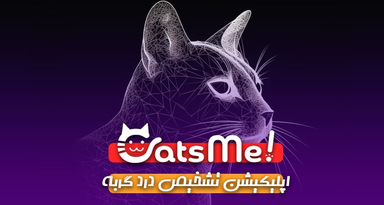 اپلیکیشن هوش مصنوعی catsme