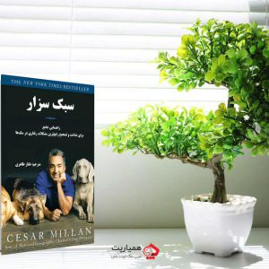 کتاب سبک سزار