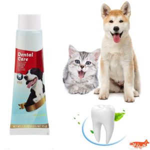 خمیردندان سگ و گربه طعم دار dental care