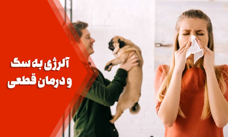 آلرژی انسان به سگ