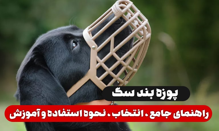 پوزه بند سگ