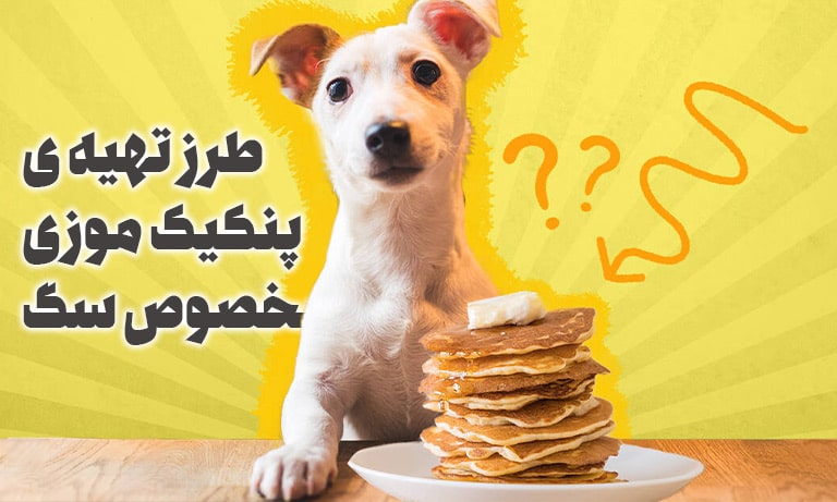 طرز تهیه پنکیک موزی مخصوص سگ ها