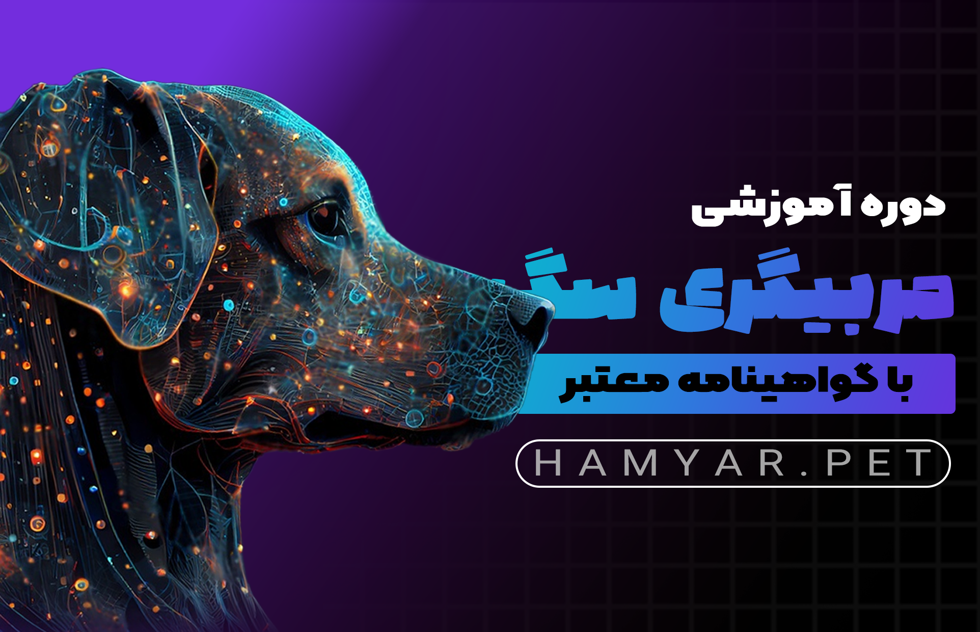 دوره آموزش مربیگری سگ