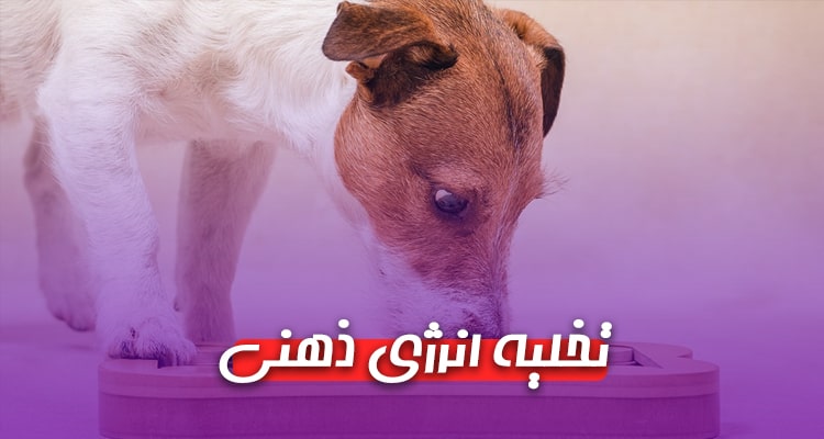 تخلیه انرژی ذهنی سگ