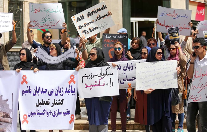 تجمع حامیان حیوانات