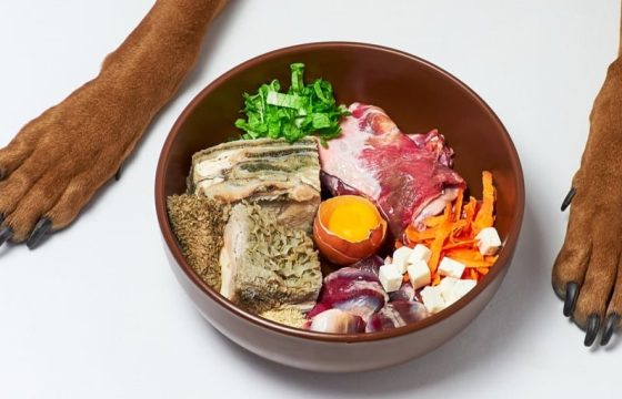 رژیم غذایی خام خواری در سگ ها با مدل barf