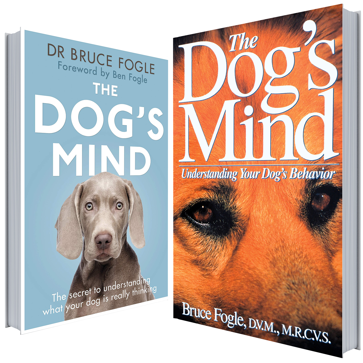 کتاب ذهن سگ ها فارسی