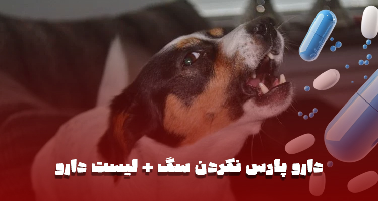 دارو پارس نکردن سگ