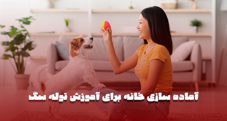 آماده‌ سازی خانه برای آموزش توله‌ سگ
