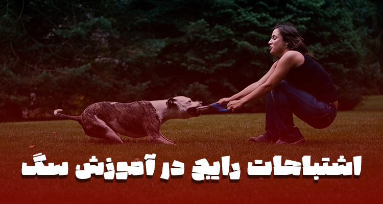 مربی در حال آموزش سگ و نشان دادن پاداش در لحظهی درست