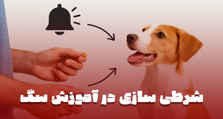 شرطی‌سازی سگ با کلیکر و خوراکی – آموزش کلاسیک و کنش‌گر