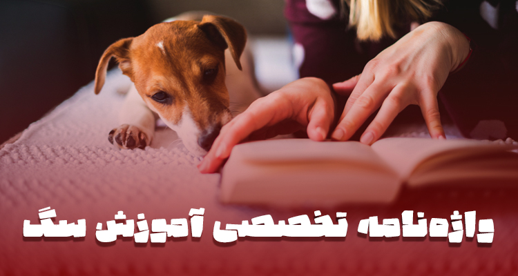 واژه نامه تخصصی آموزش سگ