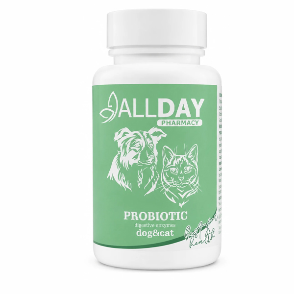 مکمل پروبیوتیک سگ و گربه ALLDAY PHARMACY