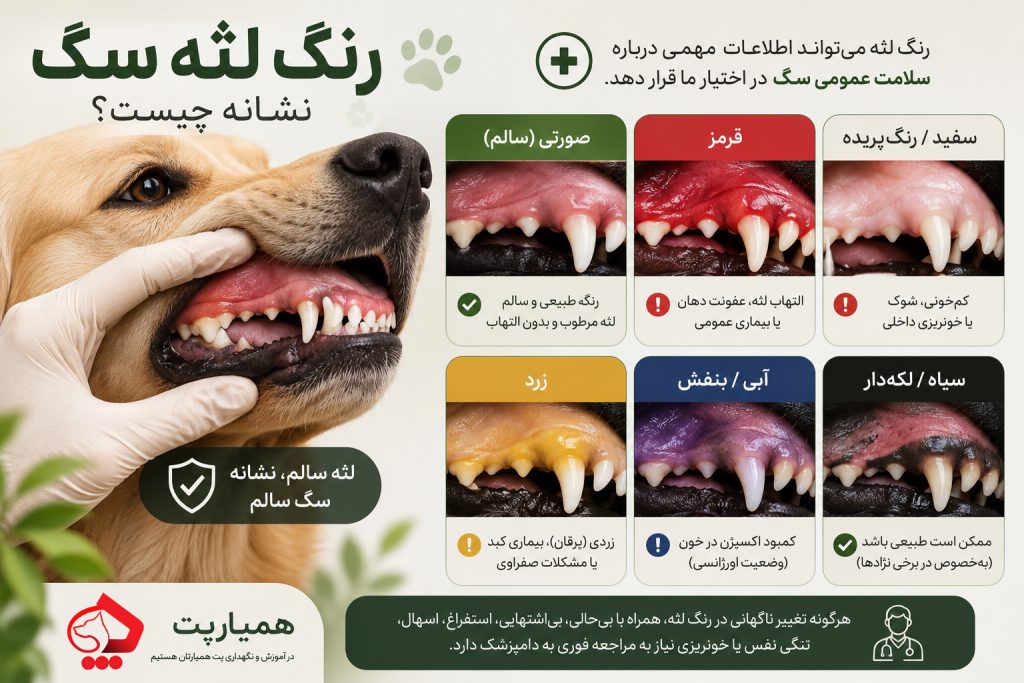 رنگ لثه سگ