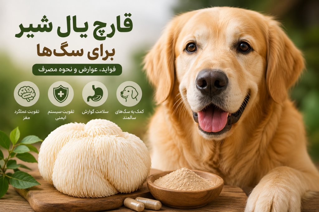 قارچ یال شیر برای سگ