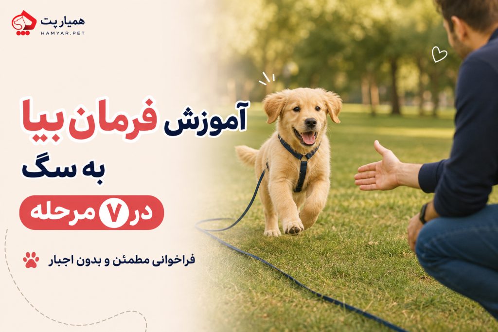 آموزش فرمان بیا به سگ