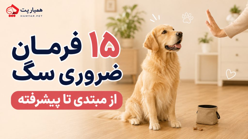 لیست دستورات ضروری سگ